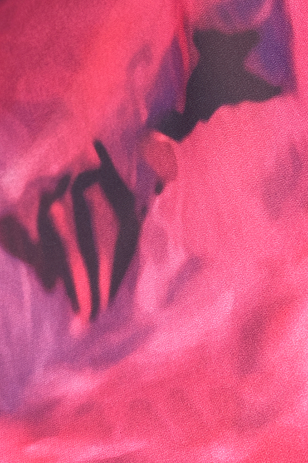 Variation picture for FUCSIA