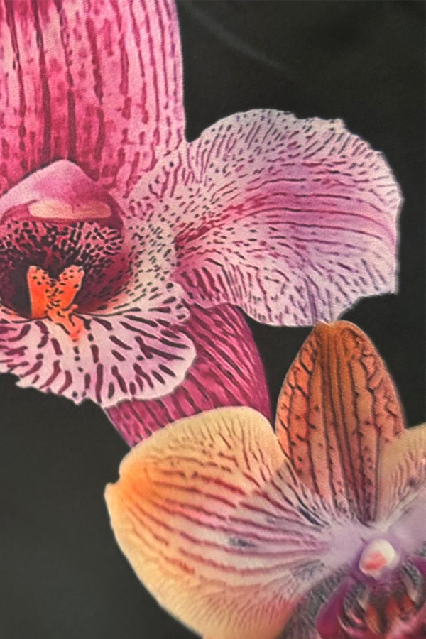 Variation picture for FLOR NARANJA